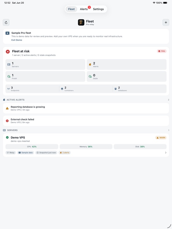 Fleet overview with per-server health on iPad.