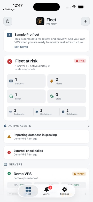 Meerkat fleet overview with per-server health on iPhone.