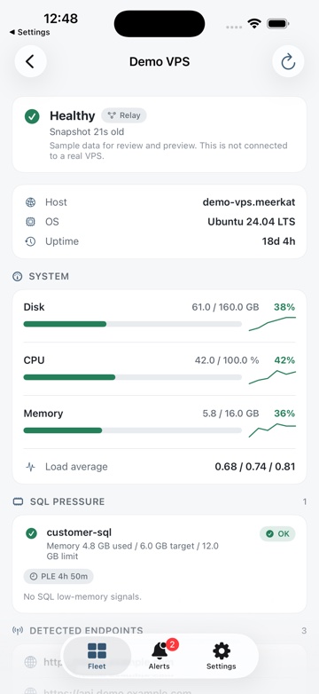 Server dashboard with gauges and discovered apps on iPhone.