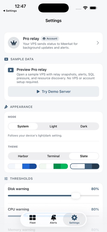 Settings with demo server entry on iPhone.